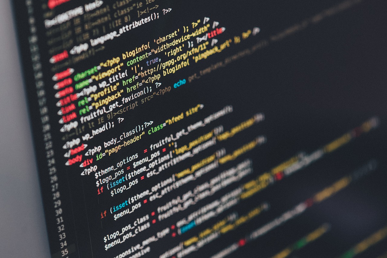 software development